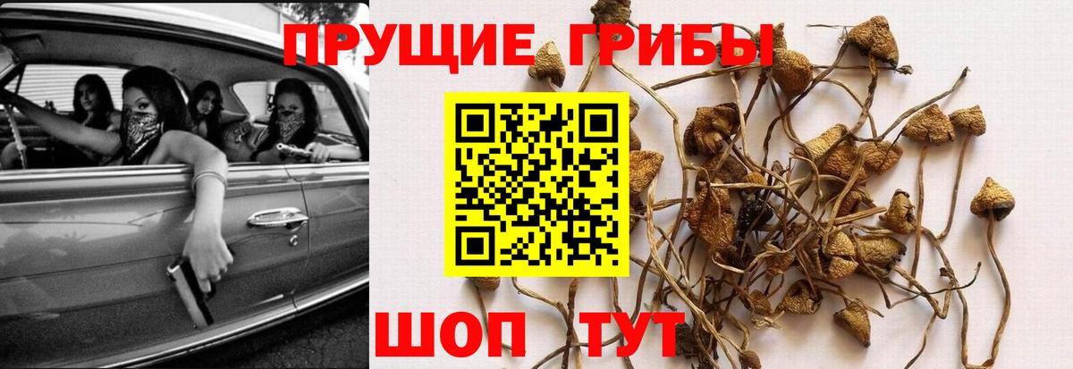 Галлюциногенные грибы Magic Shrooms Топки