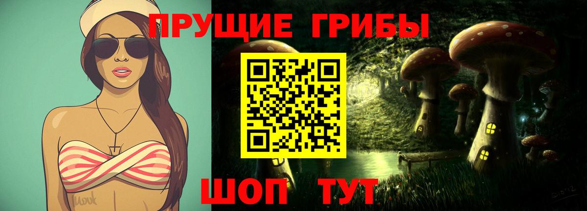 Галлюциногенные грибы ЛСД  где купить наркоту  Топки  Галлюциногенные грибы Psilocybe  Вход с VPN 